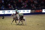 Quadrille - 00231